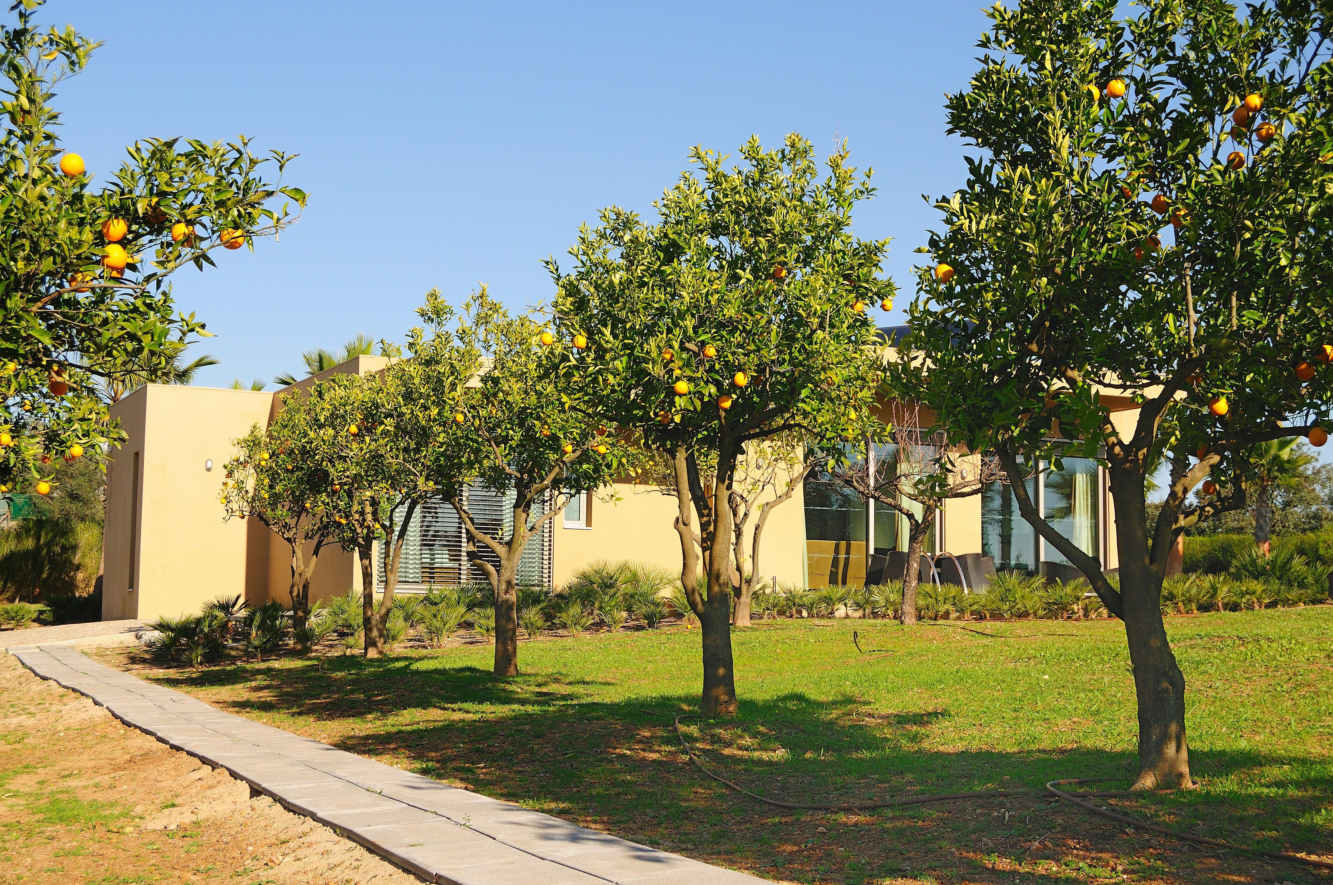 Montargil Monte Novo Hotel Exterior foto